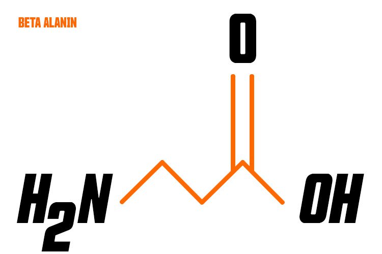 Strukturformel von Beta-Alanin