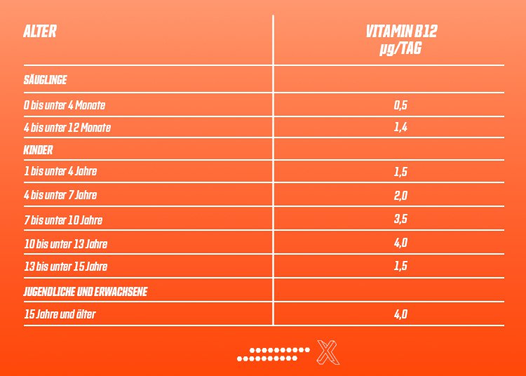 Die Referenzwerte für Vitamin B12 nach den jeweiligen Altersgruppen. (nach DGE)