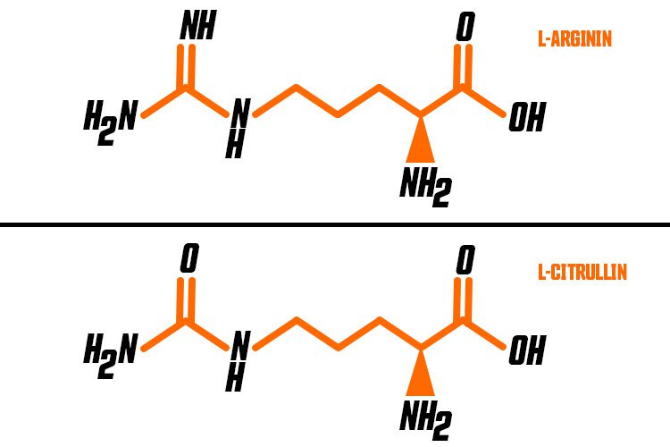 Strukturformeln von L-Arginin und L-Citrullin